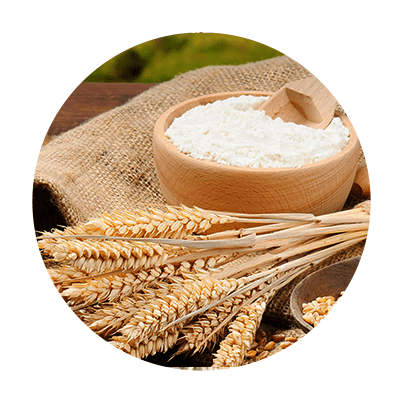 Pakistan's Largest Rice Exporters